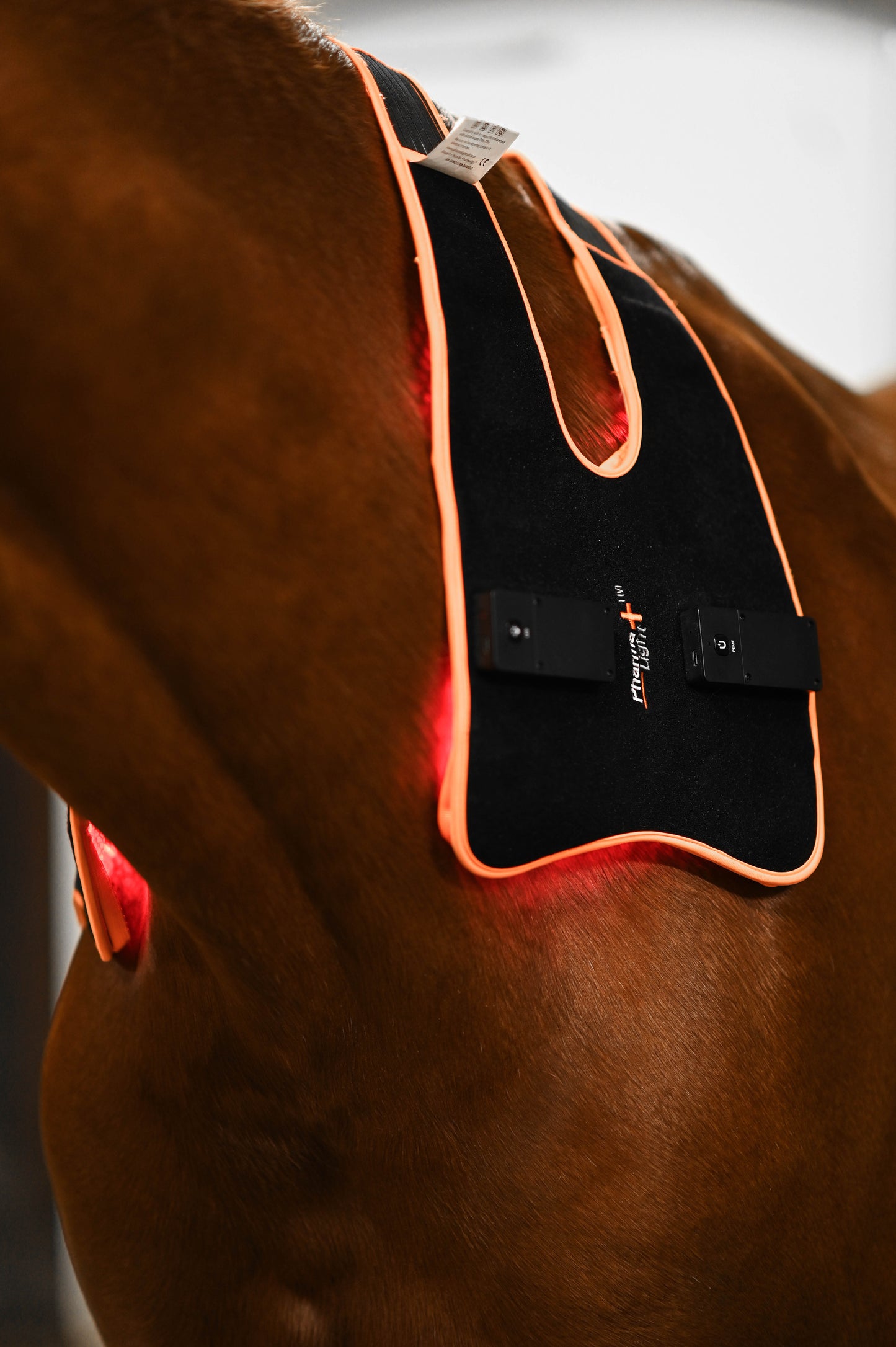 LED Treatment Pad PEMF