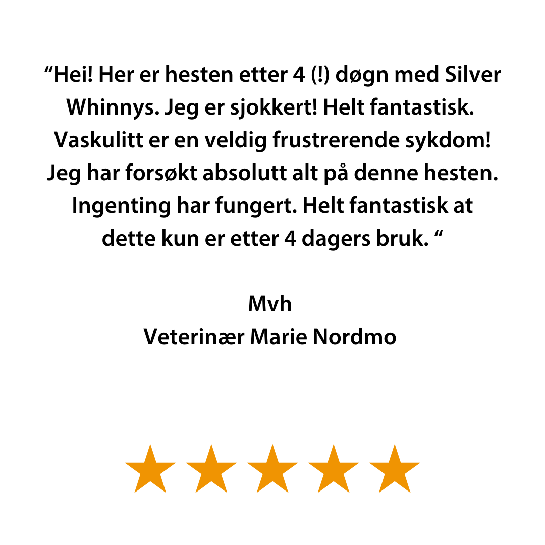 Silver Whinnys - Silverstrumpor 4-pack
