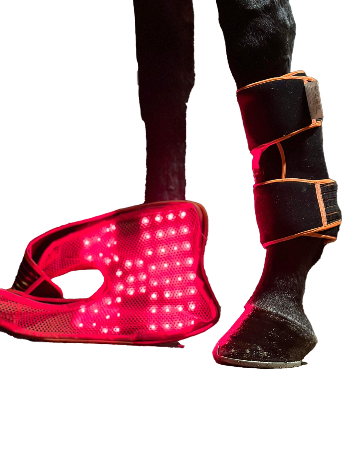 LED Treatment Pad PEMF