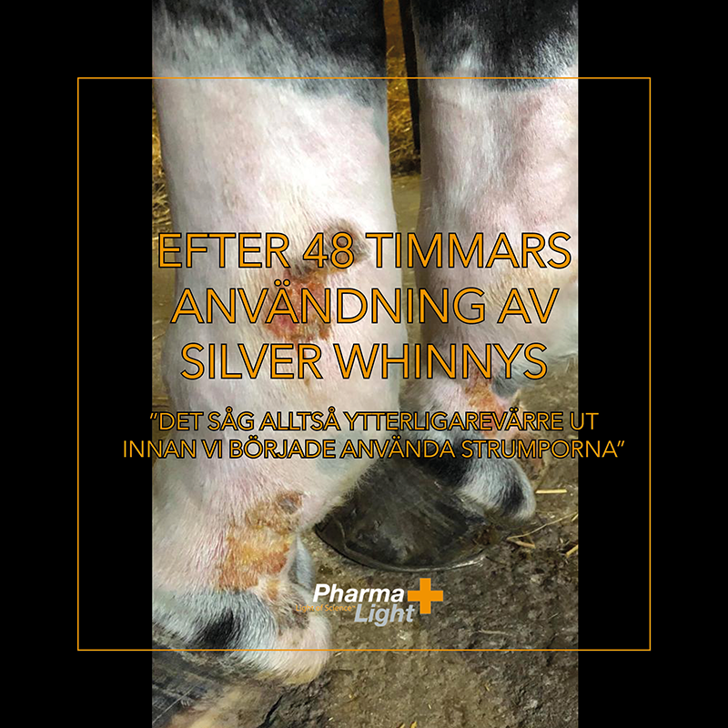 Silver Whinnys - Silverstrumpor 4-pack