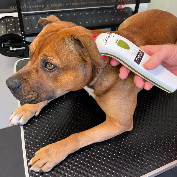 Silent Photizo Vetcare LED-ljusterapi/LED-LLLT