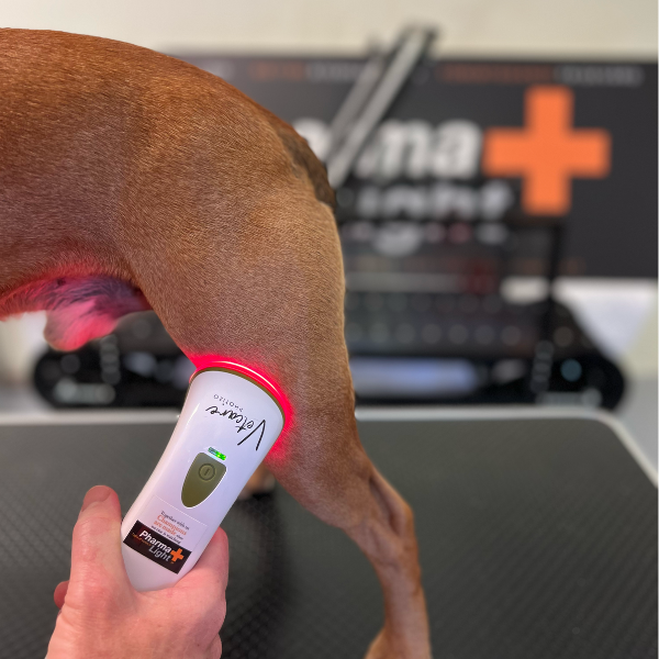Silent Photizo Vetcare LED-ljusterapi/LED-LLLT