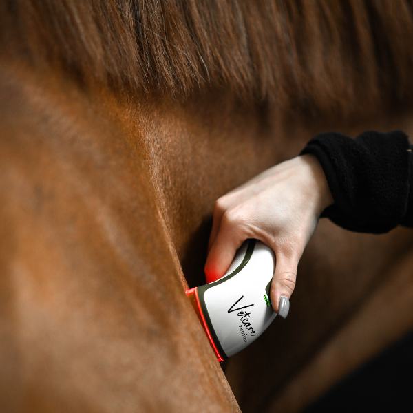 Silent Photizo Vetcare LED-ljusterapi/LED-LLLT