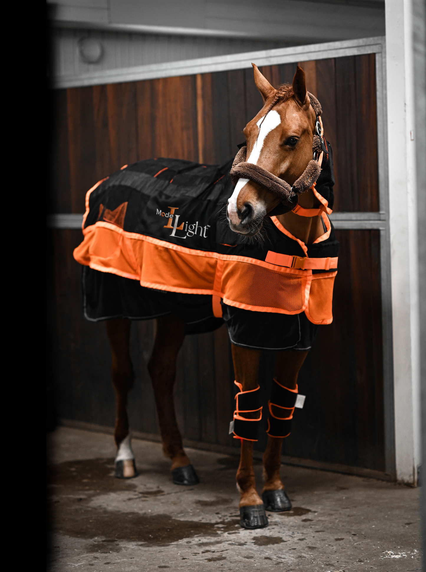 Multi Treatment Blanket