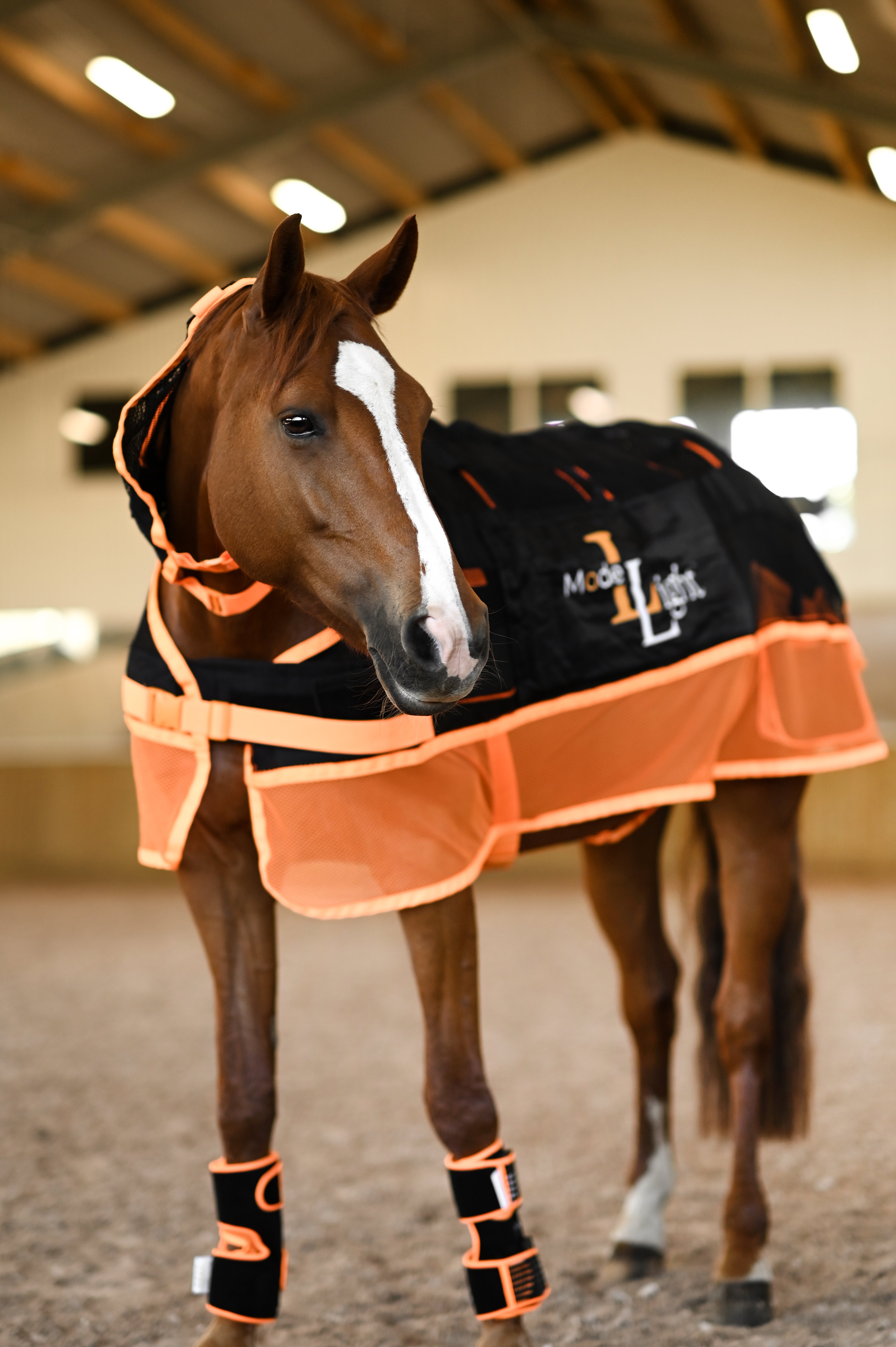 Multi Treatment Blanket