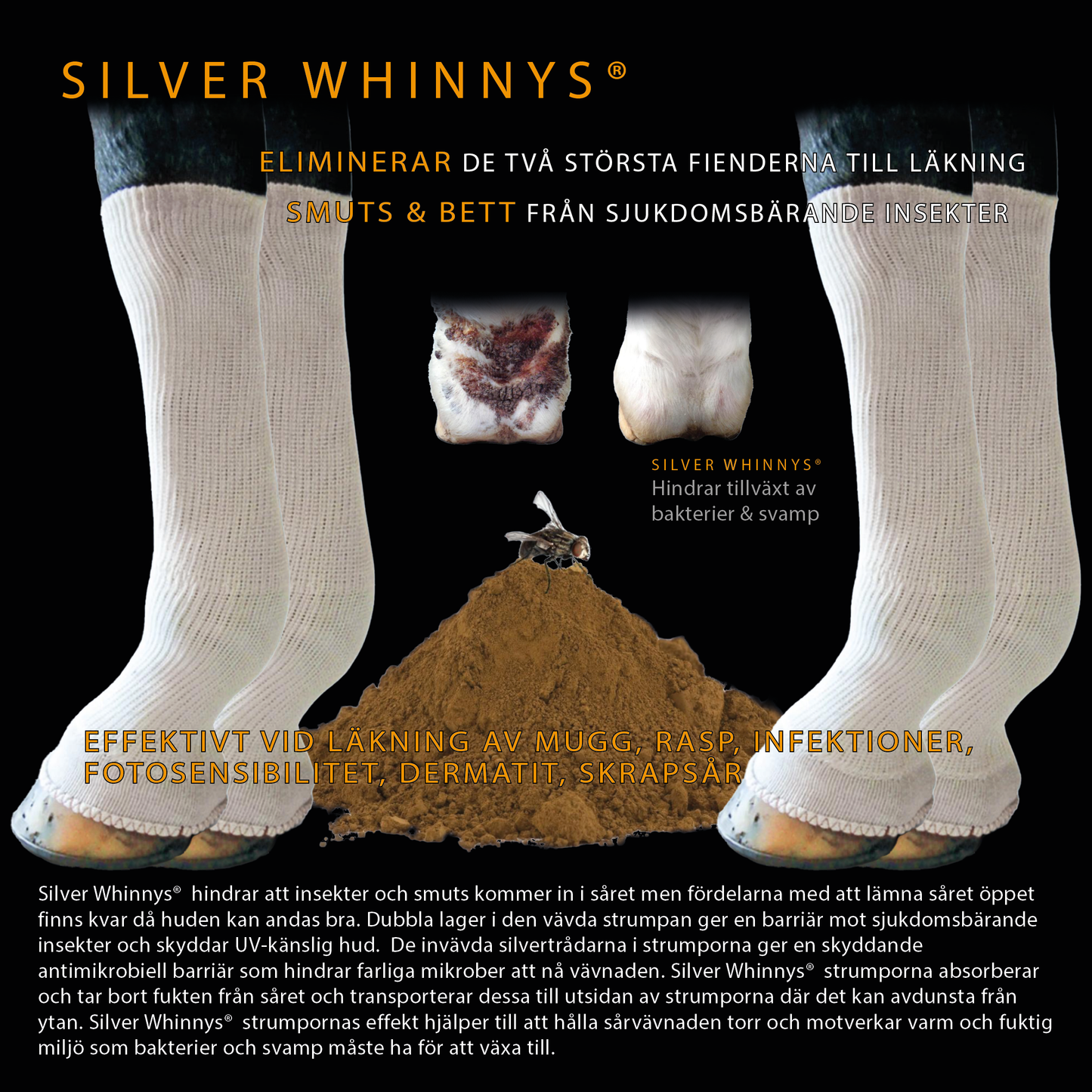 Silver Whinnys - Silver socks 4-pack