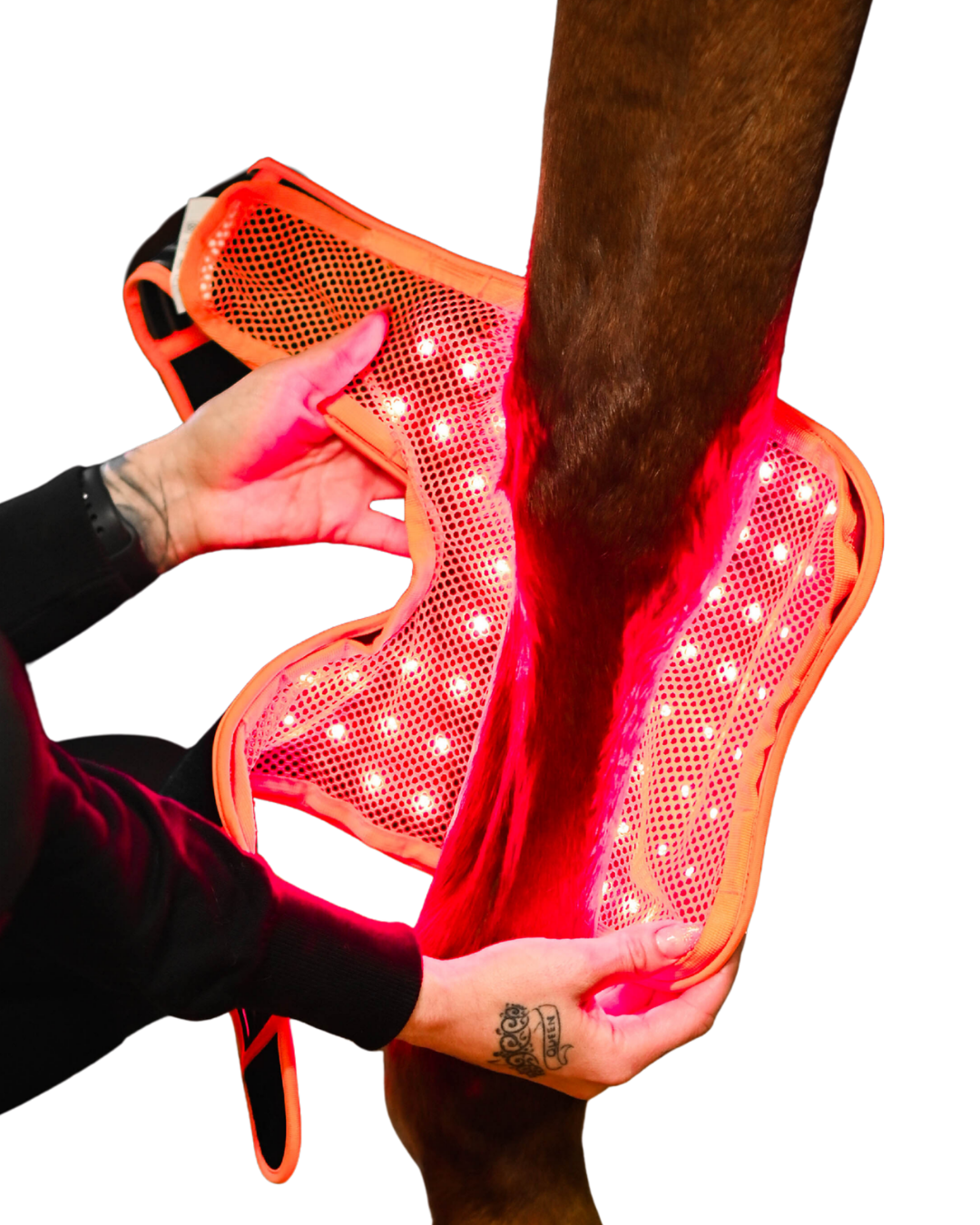 Led Treatment Pad PEMF Equine