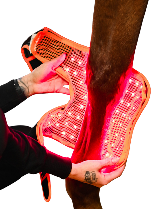 Led Treatment Pad PEMF Equine