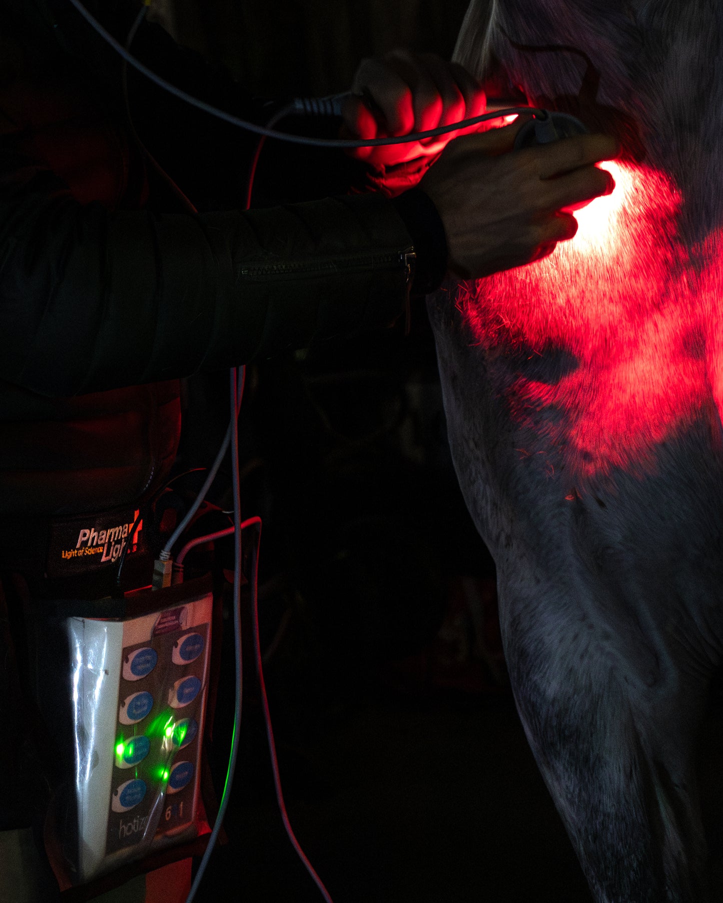 Photizo Professional LED-ljusterapi/LED-LLLT